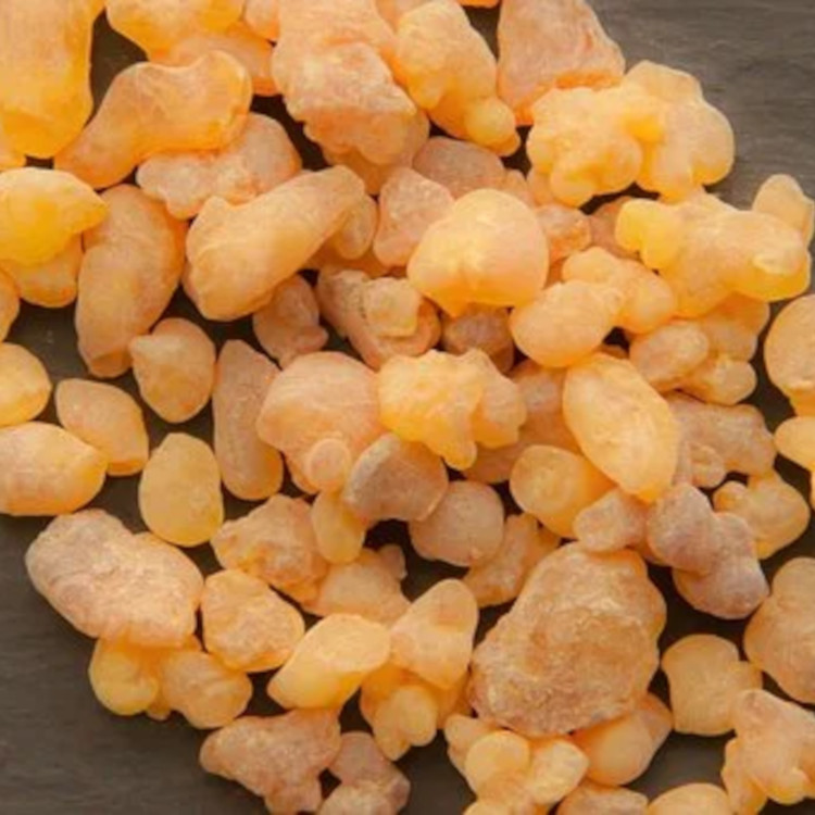 乳香萃取液 乳香提取