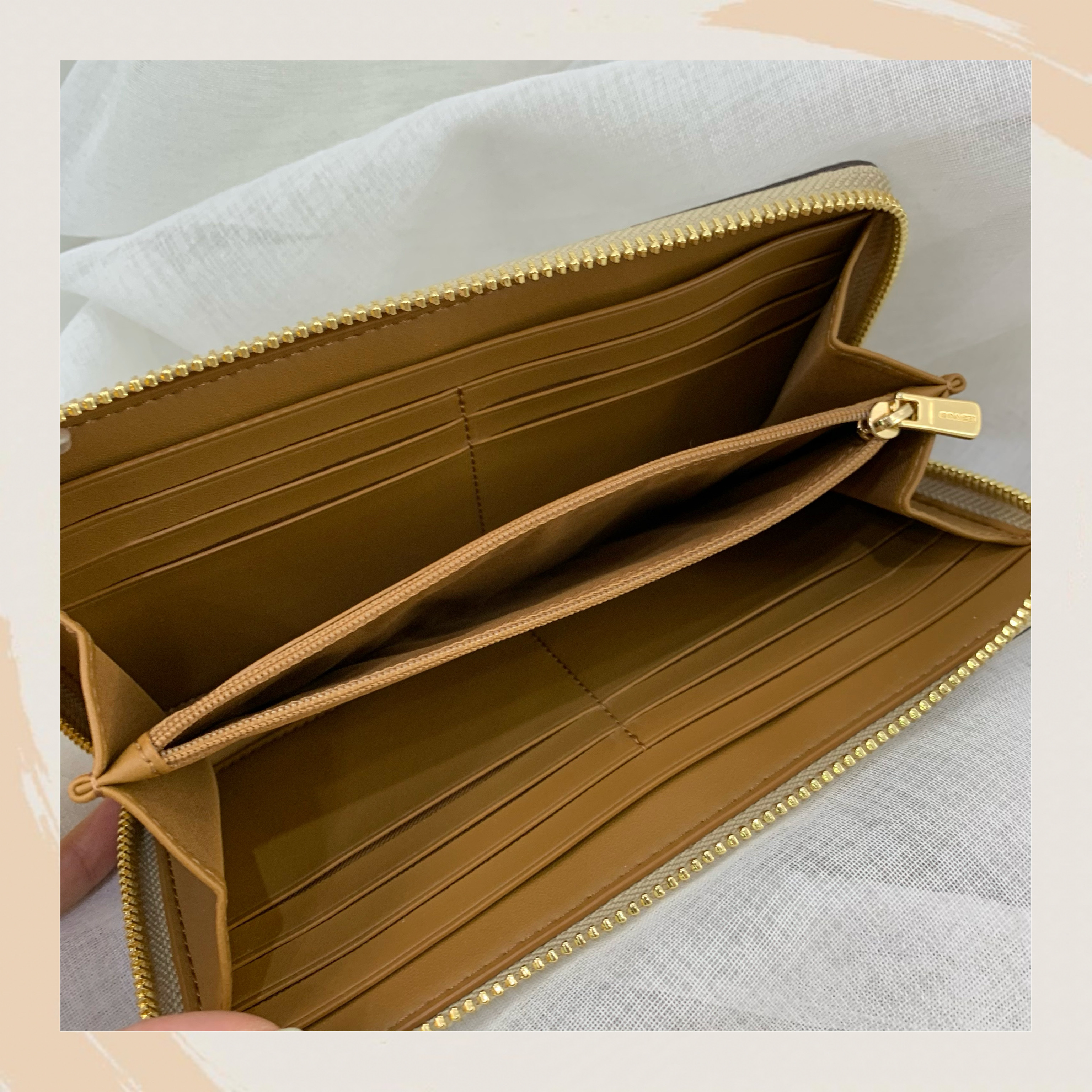 【名牌代購】COACH ACCORDION ZIP WALLET IN SIG CANVAS WITH DAISY PRINT #C3370/IMOTV