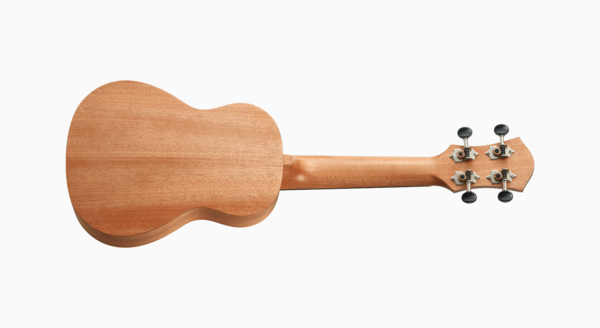 aNueNue aNueNue 彩虹人 烏克麗麗 TM1 21吋 桃花心木 面單板 Rainbow入門系列 第 3 張圖片｜三峽烏克麗麗