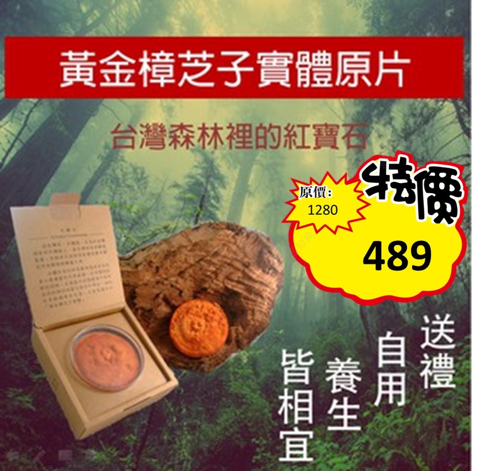 原價1280元｜居家增強體力驚爆價489元!!