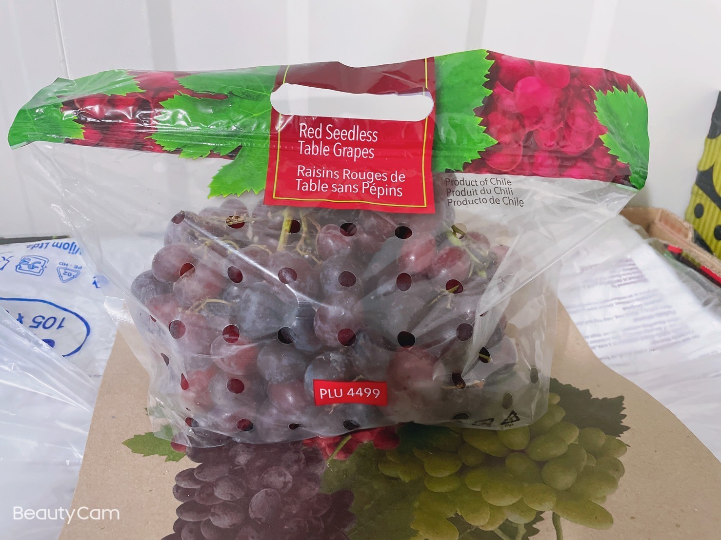 智利,坐擁乾燥少雨,日照充足的地中海型氣候,是世界上最適合葡萄生長的環境之一.