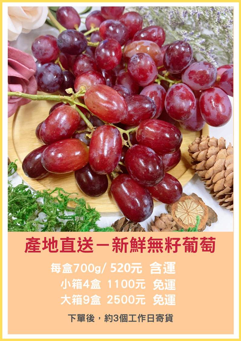 ★目前完售，歡迎來訊告知需求數量預購★新鮮無籽紅葡萄 【智利進口】