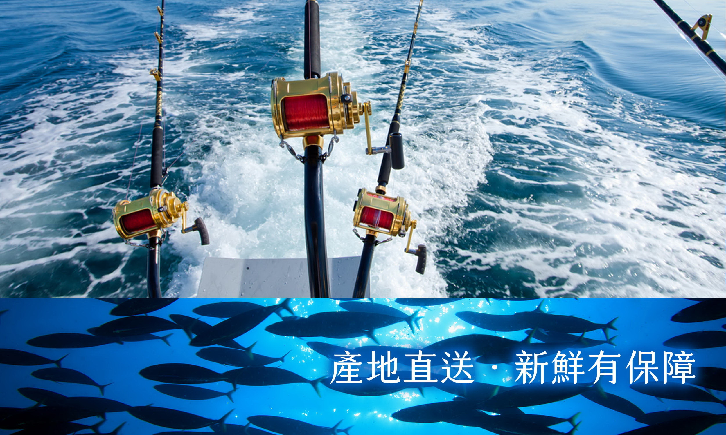 原舟,arkrealfood,SGS安心平台,野生,紅魽,漁獲,魚頭,健康,無添加,新鮮,奢華,優質蛋白質,顛覆,享受,品嚐,魚肉,營養,品鮮,口味,純粹,良心食品,速食,