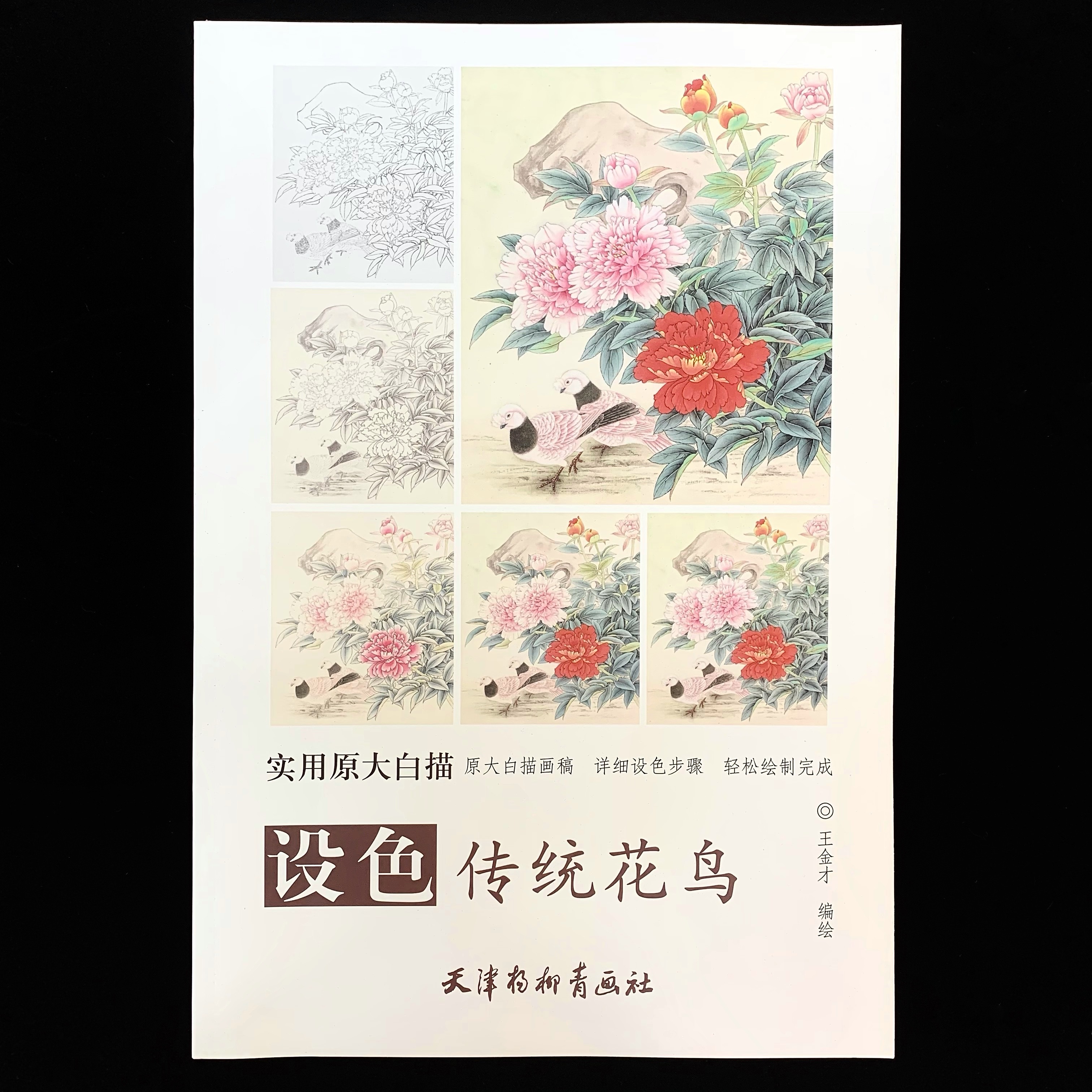 實用原大白描:設色傳統花鳥
