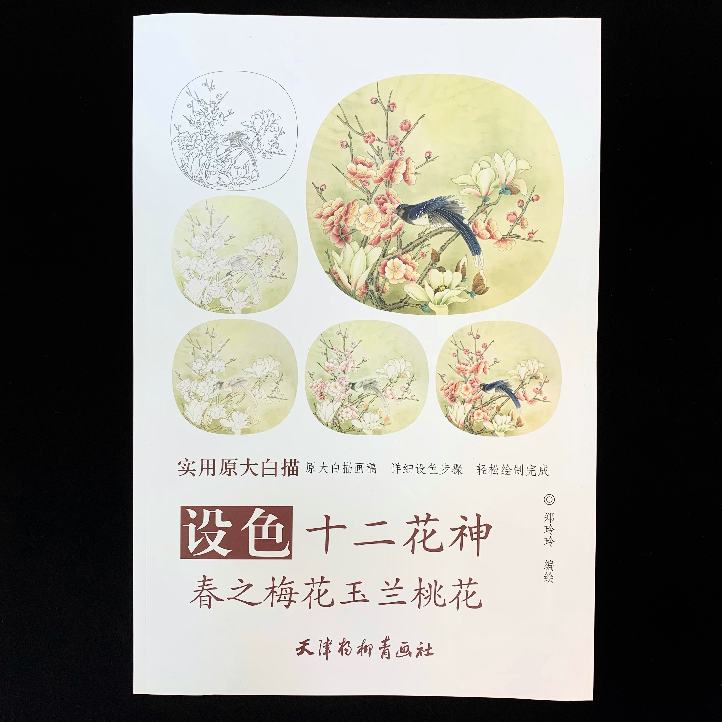 實用原大白描:設色十二花神(春之梅花、玉蘭、桃花)