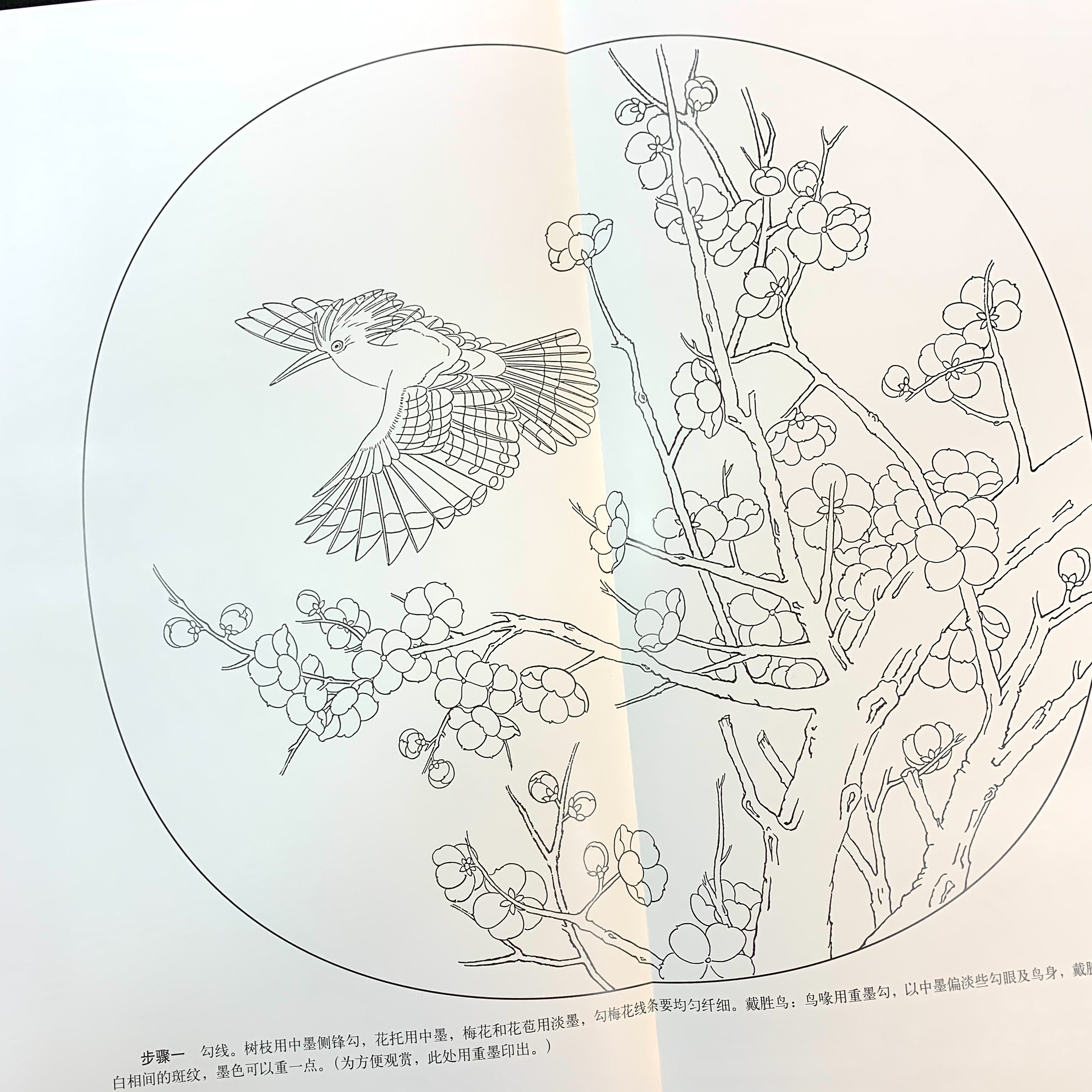 實用原大白描:設色十二花神(春之梅花、玉蘭、桃花)