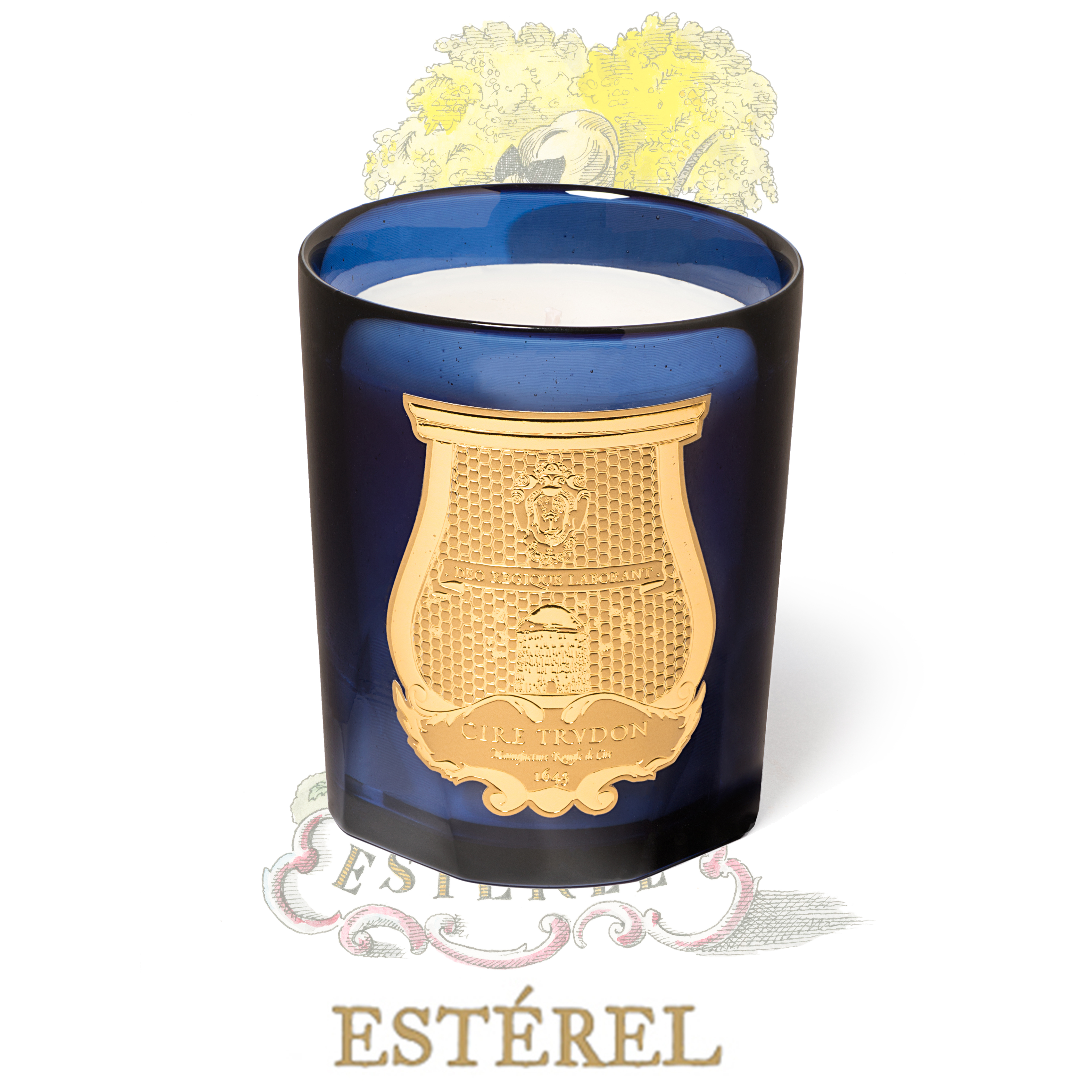 Trudon 芬芳含羞草 香氛蠟燭