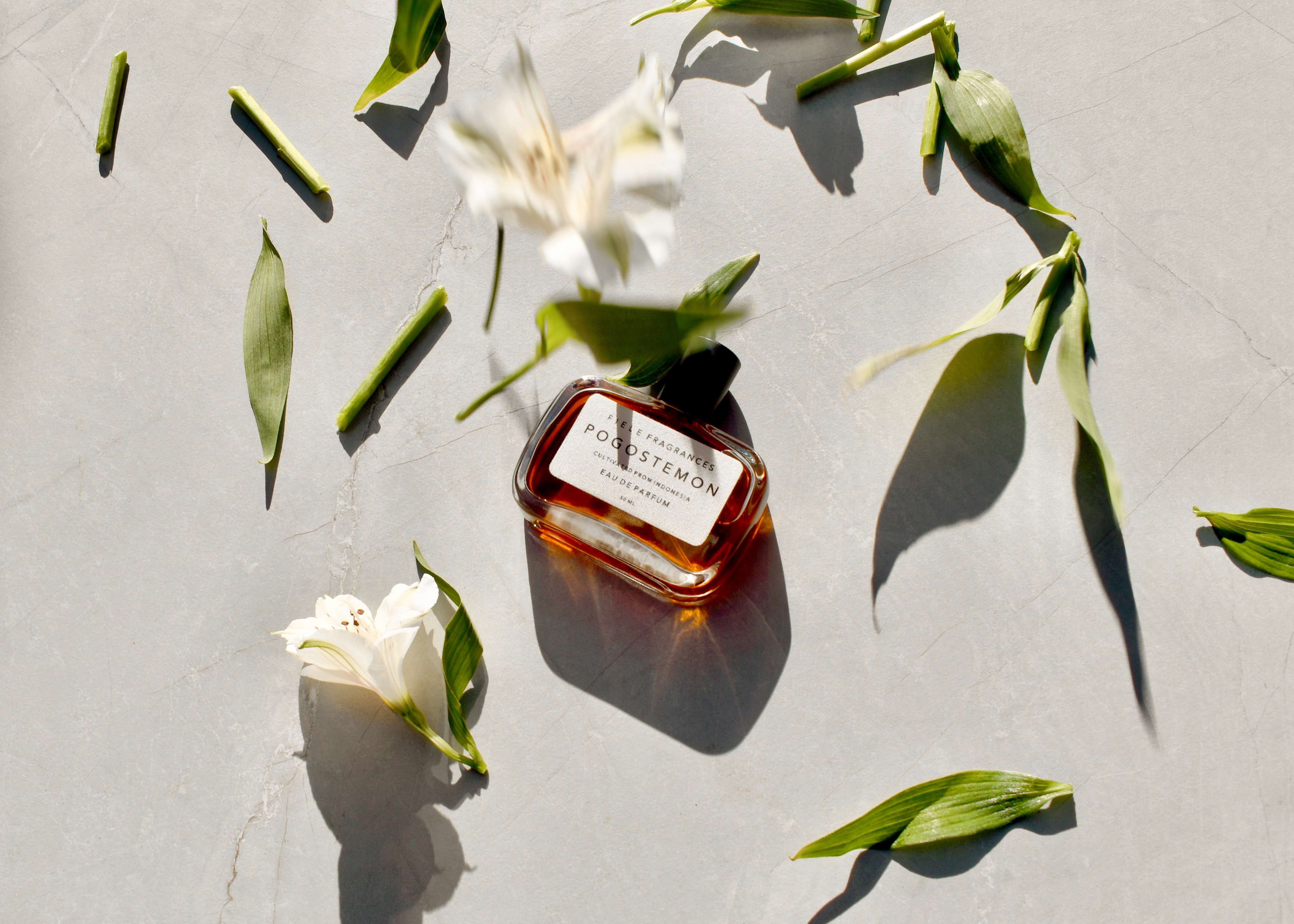 香水(女性用) FILE FRAGRANCES POGOSTEMON POGOSTEMON | FIELE FRAGRANCES