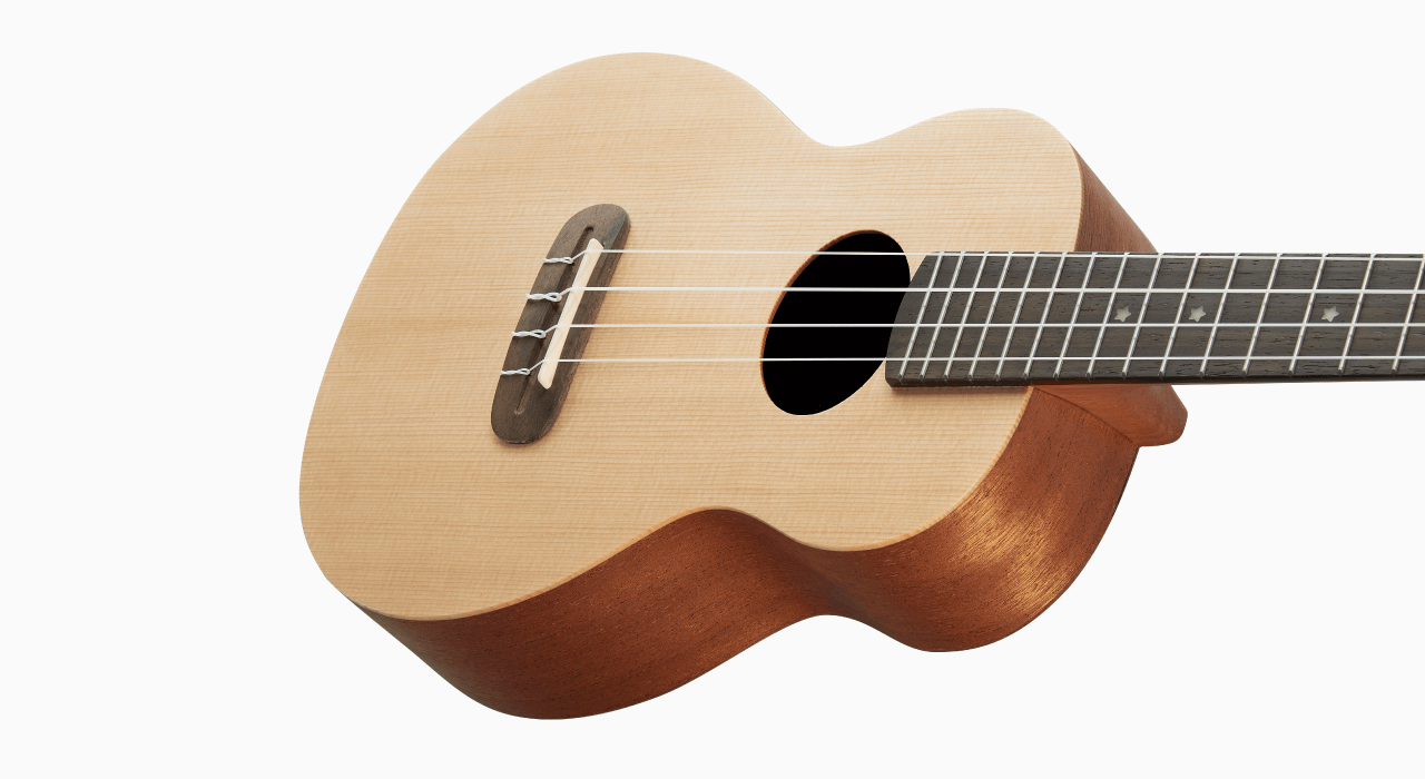 aNueNue aNueNue 彩虹人 烏克麗麗 SS2 23吋 雲杉木 面單板 Rainbow入門系列 第 4 張圖片｜三峽烏克麗麗