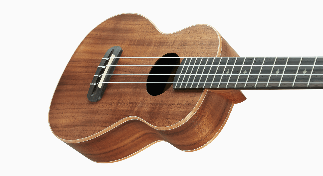 aNueNue aNueNue 彩虹人 烏克麗麗 K2 23吋 台灣相思木 Rainbow入門系列 第 4 張圖片｜三峽烏克麗麗