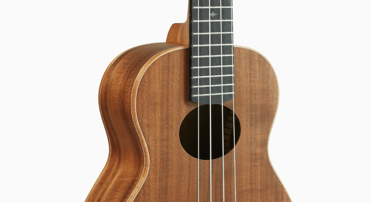 aNueNue aNueNue 彩虹人 烏克麗麗 K2 23吋 台灣相思木 Rainbow入門系列 第 5 張圖片｜三峽烏克麗麗