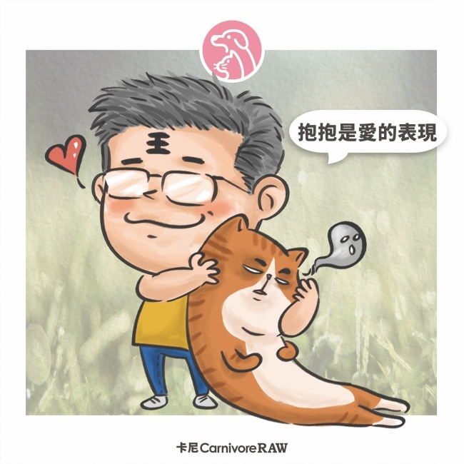 正確的抱貓姿勢