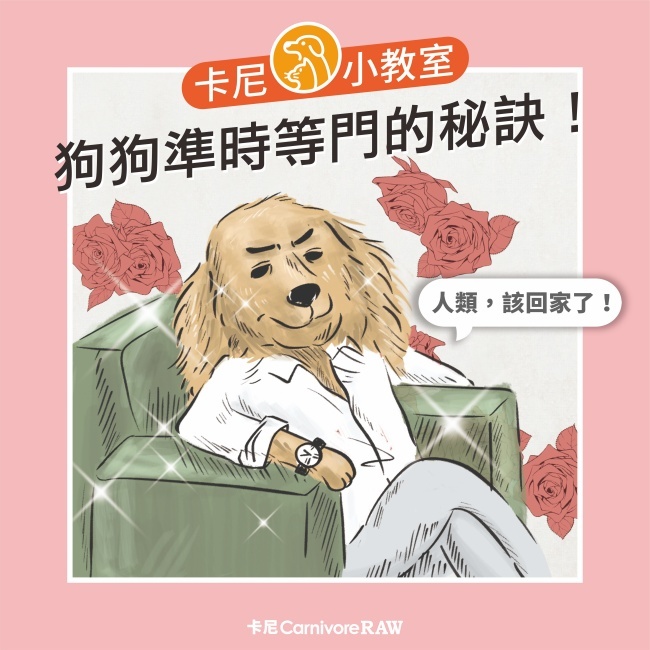 狗狗準時等門的秘訣