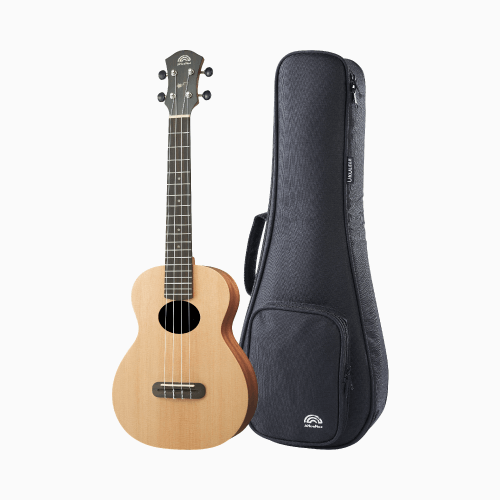 aNueNue aNueNue 彩虹人 烏克麗麗 SS3 26吋 雲杉木 面單板 Rainbow入門系列 — 三峽烏克麗麗｜YA! 玩音樂