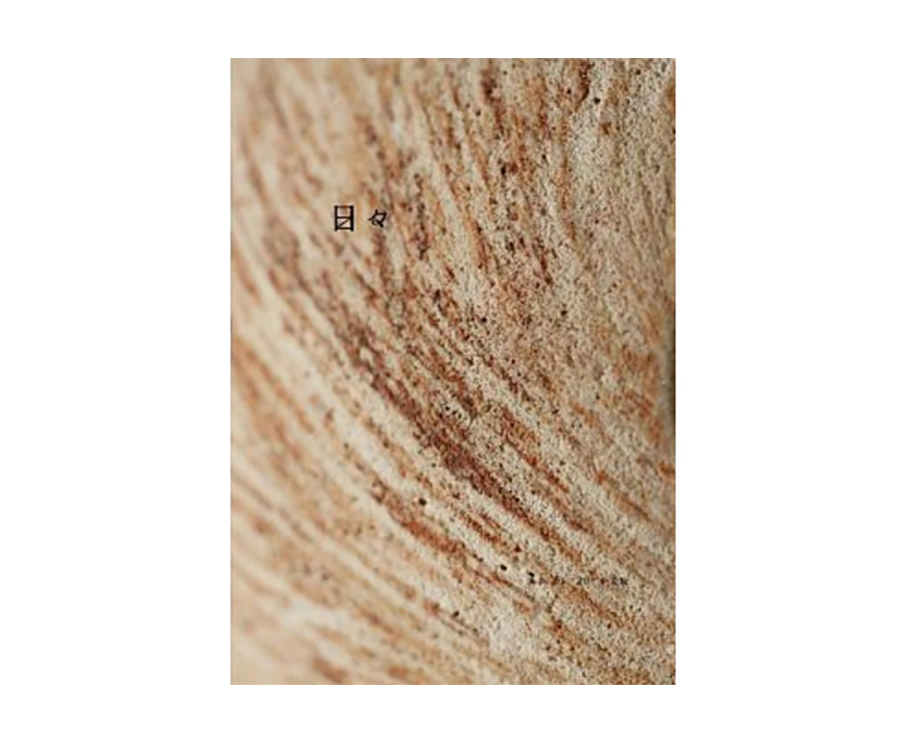 (免稅}日日雜誌中文版第二十期