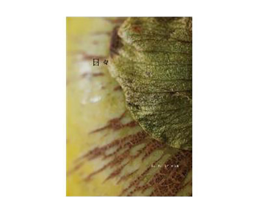 ]日日雜誌中文版第十七期（大藝）