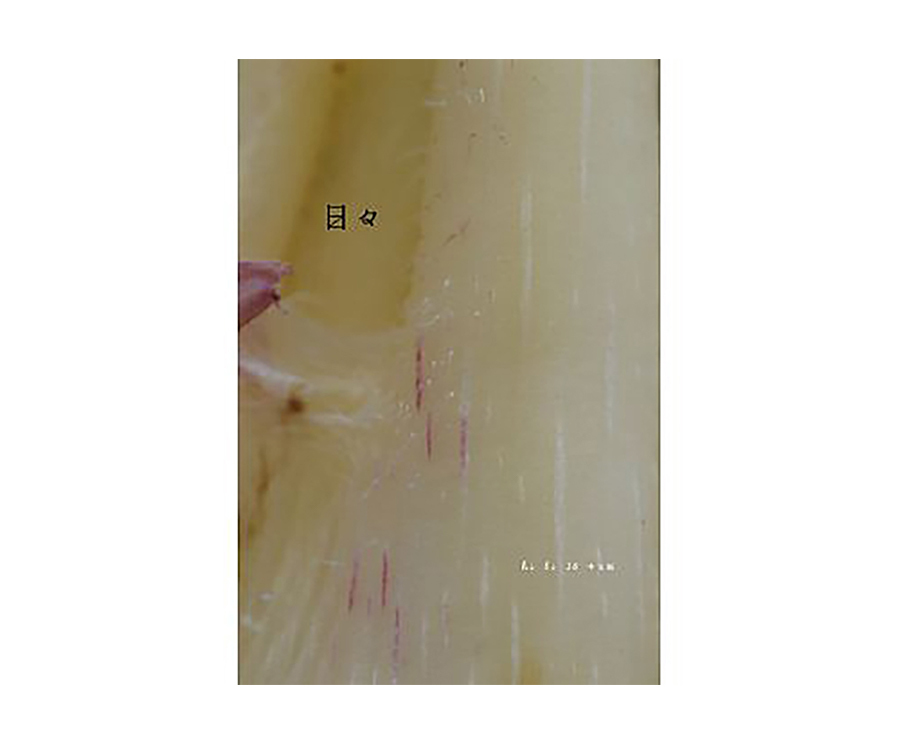 日日雜誌中文版第十六期（大藝）