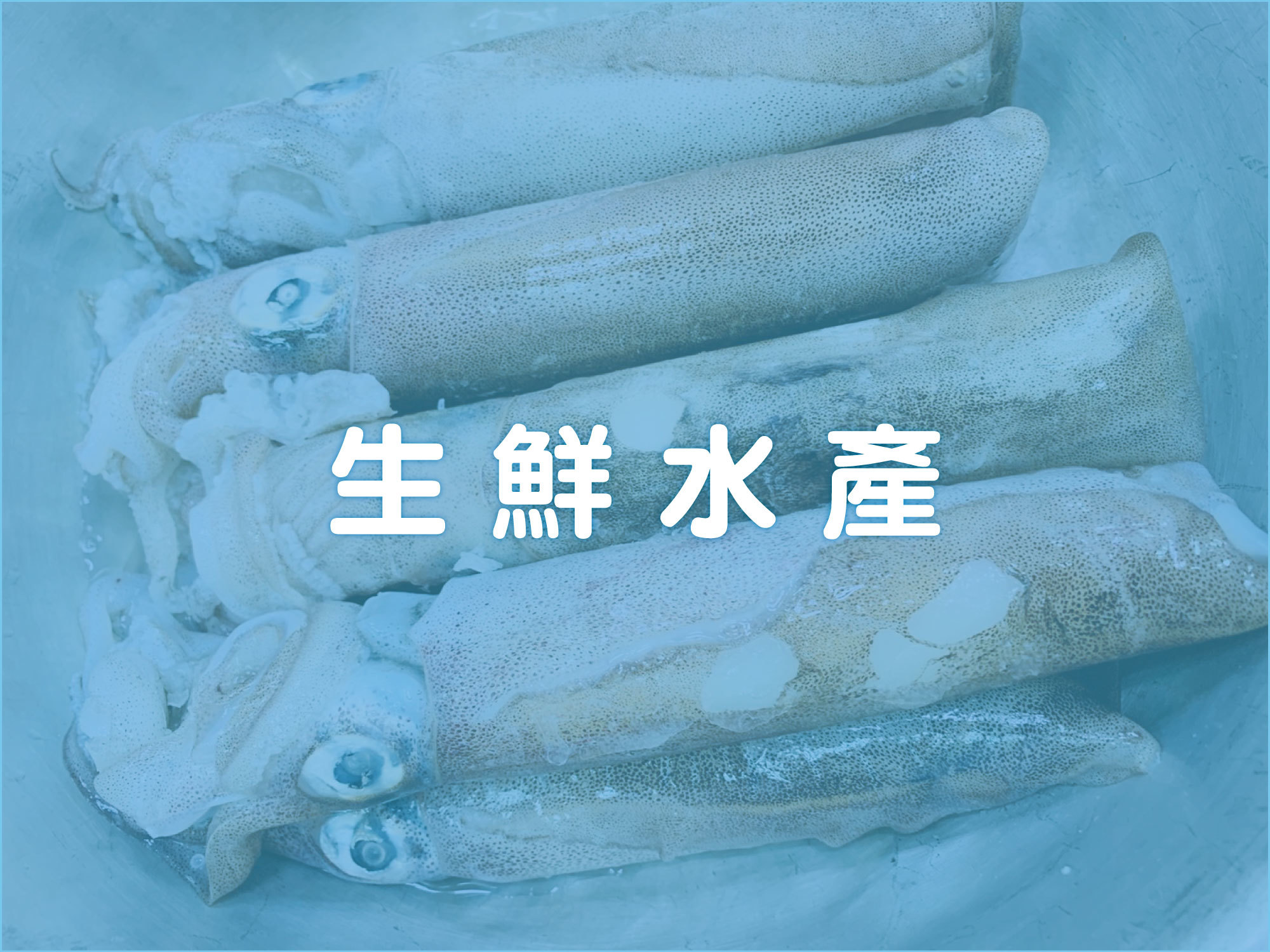 #漁品軒#海鮮#米粉#生鮮水產#基隆#現撈#旗魚#土魠#鎖管#海鮮米粉#伴手禮#拌麵#泡麵#宅配#ptt#上班這檔事#徐小可#康熙來了#特價#伴手禮#組合商品#外送#免運#防疫囤貨