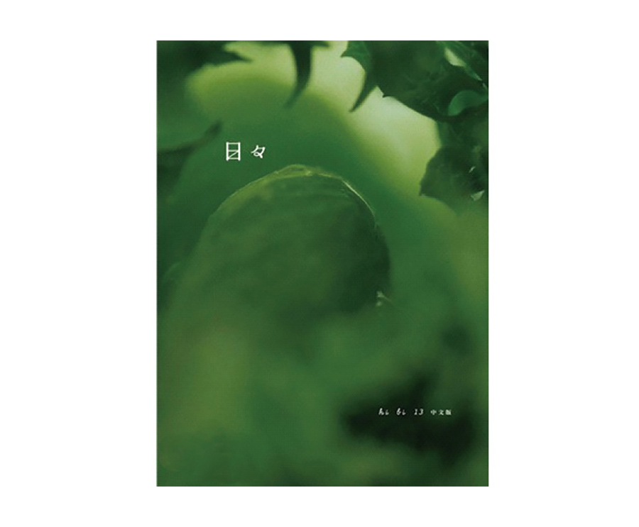 日日雜誌中文版第十三期（大藝）