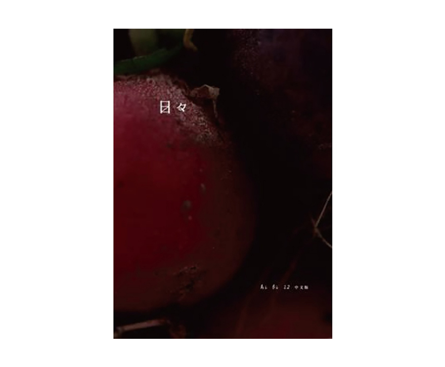 日日雜誌中文版第十二期（大藝）