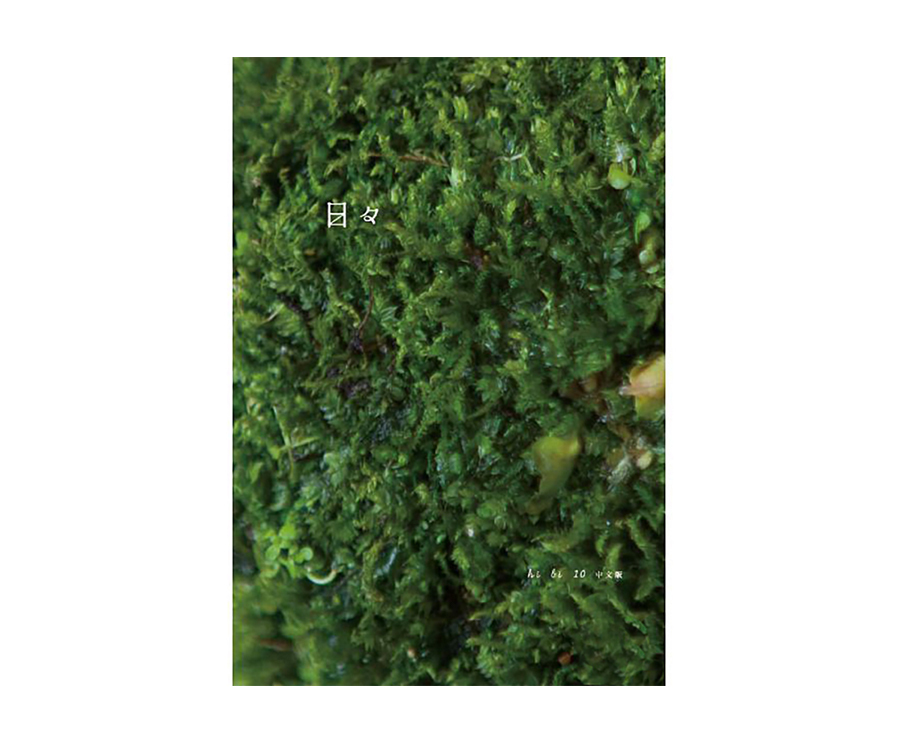 日日雜誌中文版第十期（大藝）