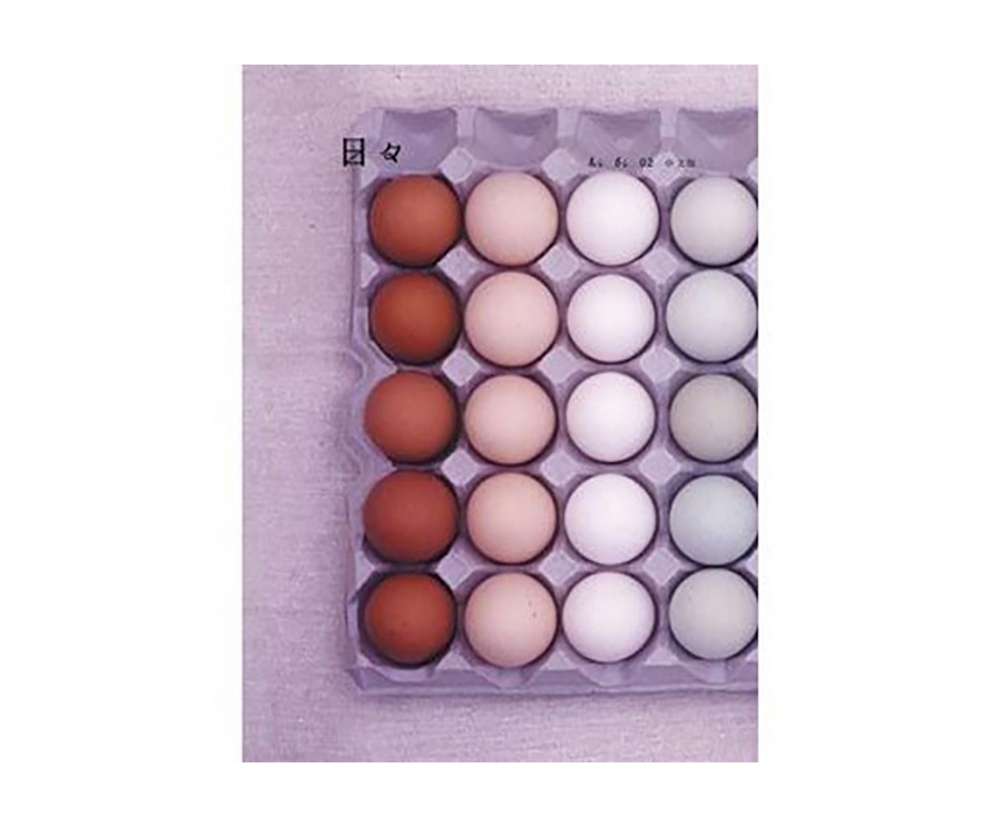 日日雜誌中文版第二期（大藝）