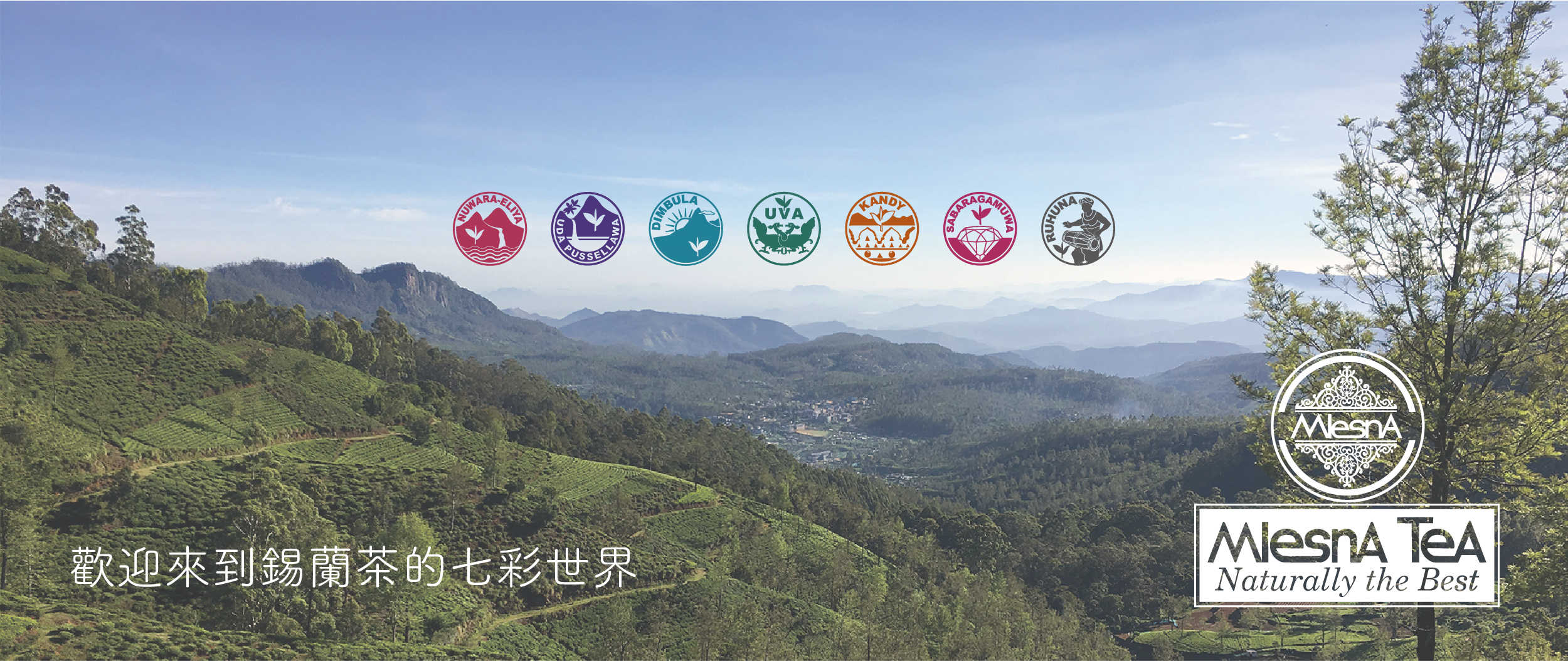 歡迎來到錫蘭茶的七彩世界
