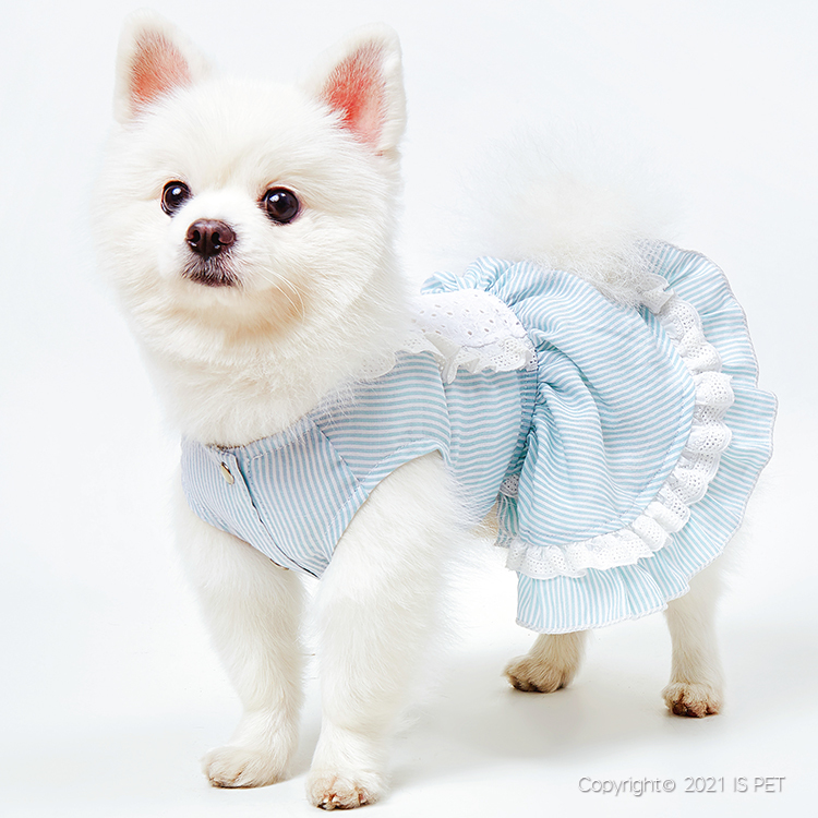 【新上架！】IsPet 寵物貓狗衣服 - 薄款公主裙 - 藍色 [4尺寸]