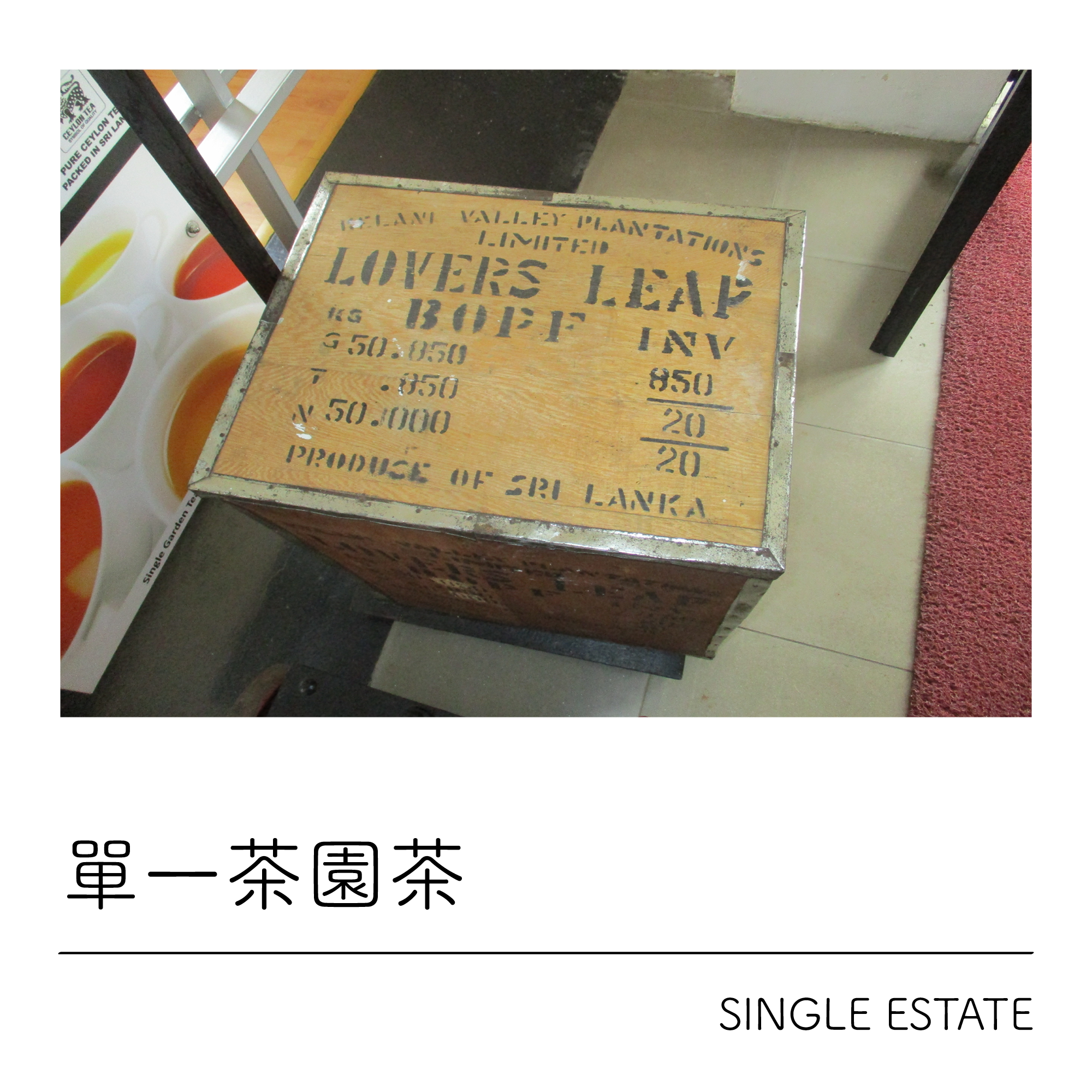 錫蘭茶單一茶園茶