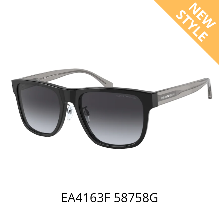 Emporio Armani EA4163F 58758G 環保物料太陽眼鏡