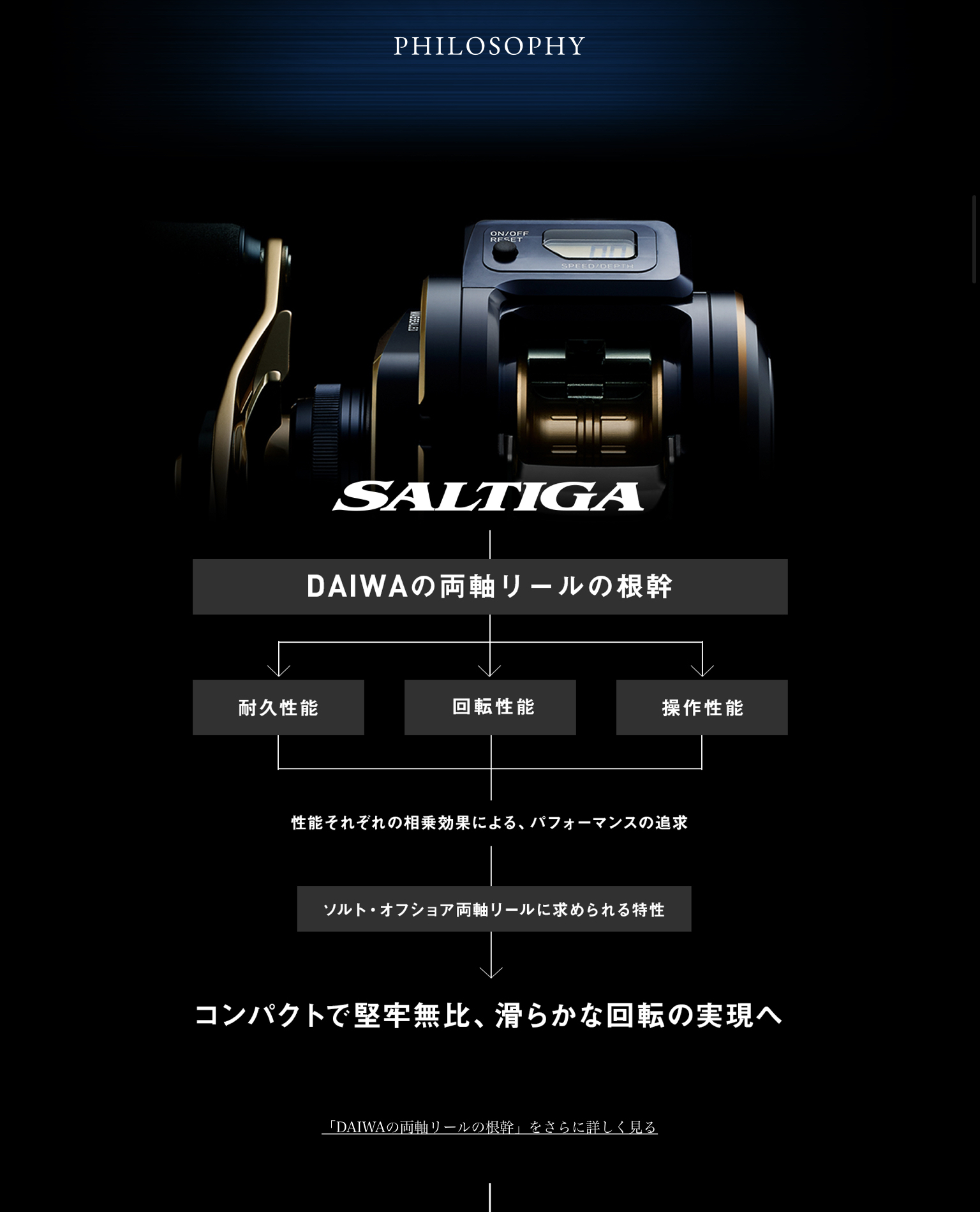 Daiwa Offshore Bait Reel with Counter Saltiga IC 300-DH - BRAND
