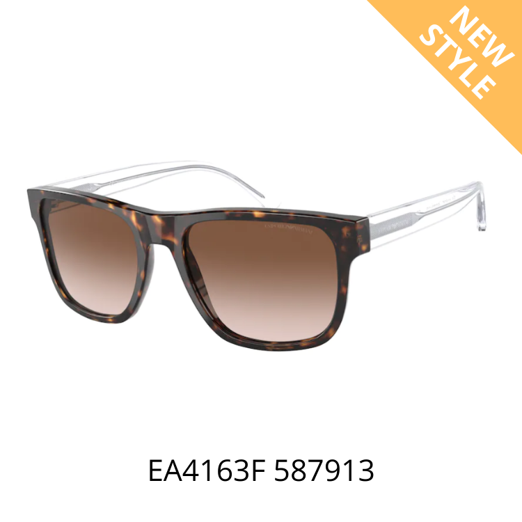 Emporio Armani EA4163F 587913 環保物料太陽眼鏡