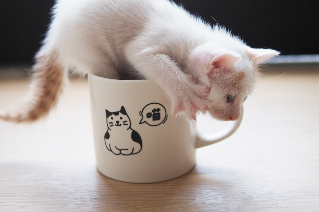 因為有了他們，讓我們生活更加的幸福。