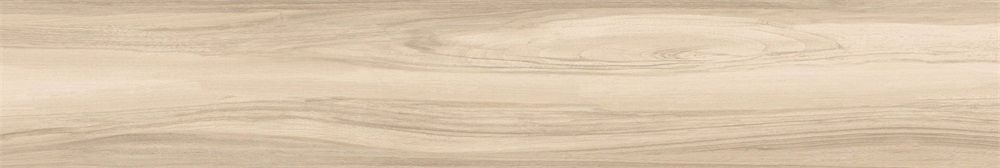 E200120060