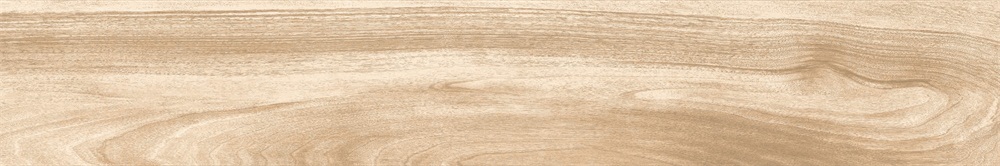 E200120057