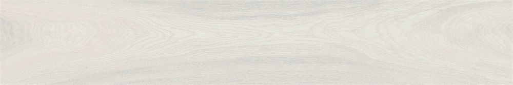 E15090030