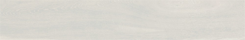 E15090030