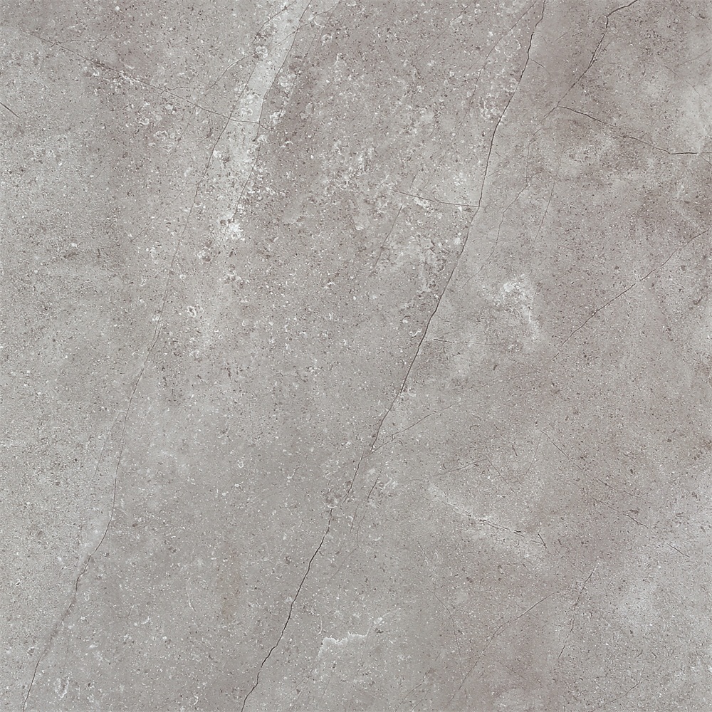 E60060051