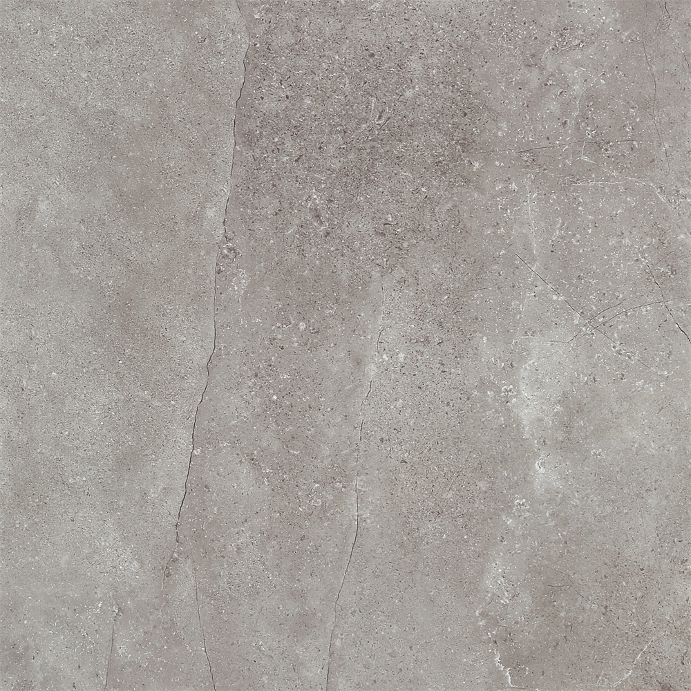 E60060051