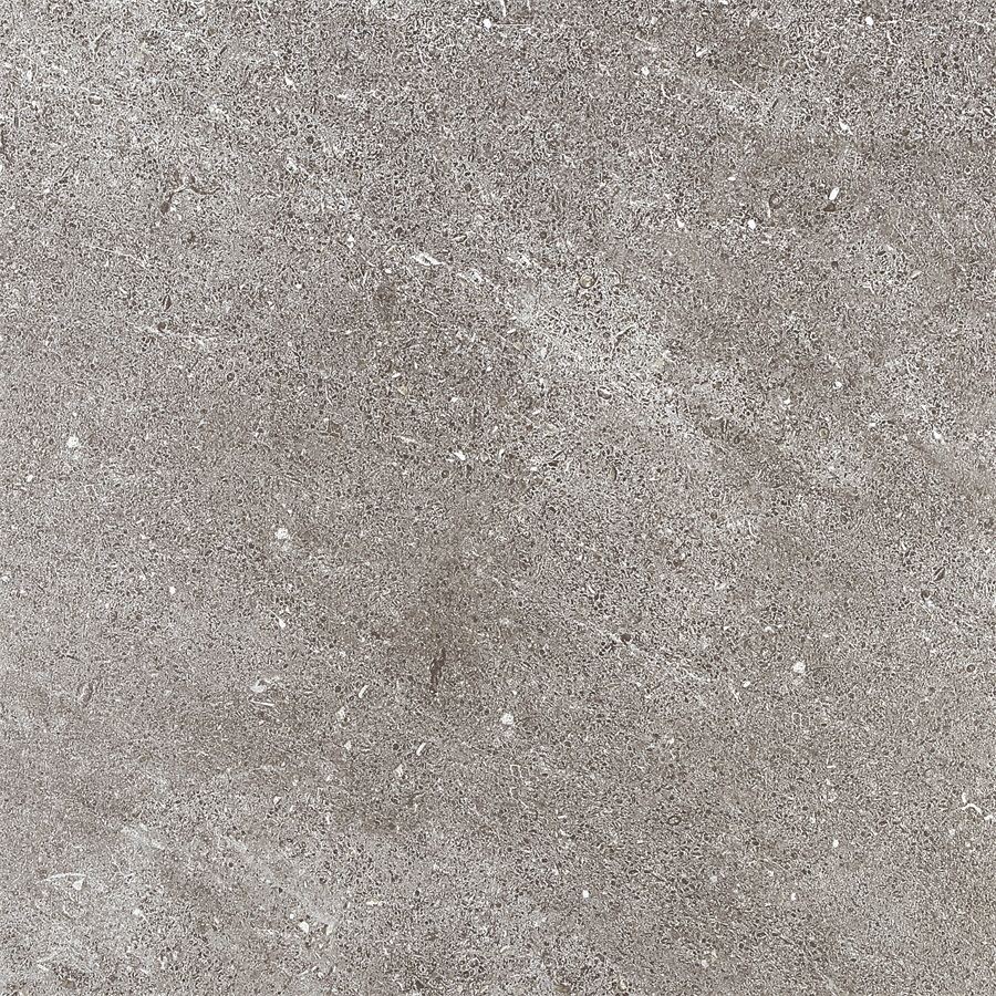 E60060080