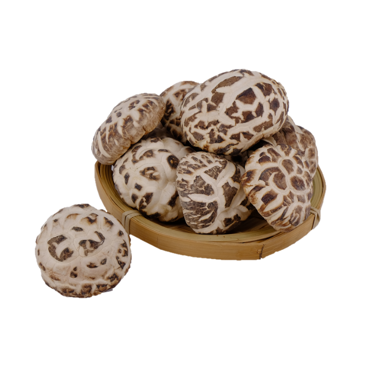 【海王牌】天白花菇 (1斤裝)