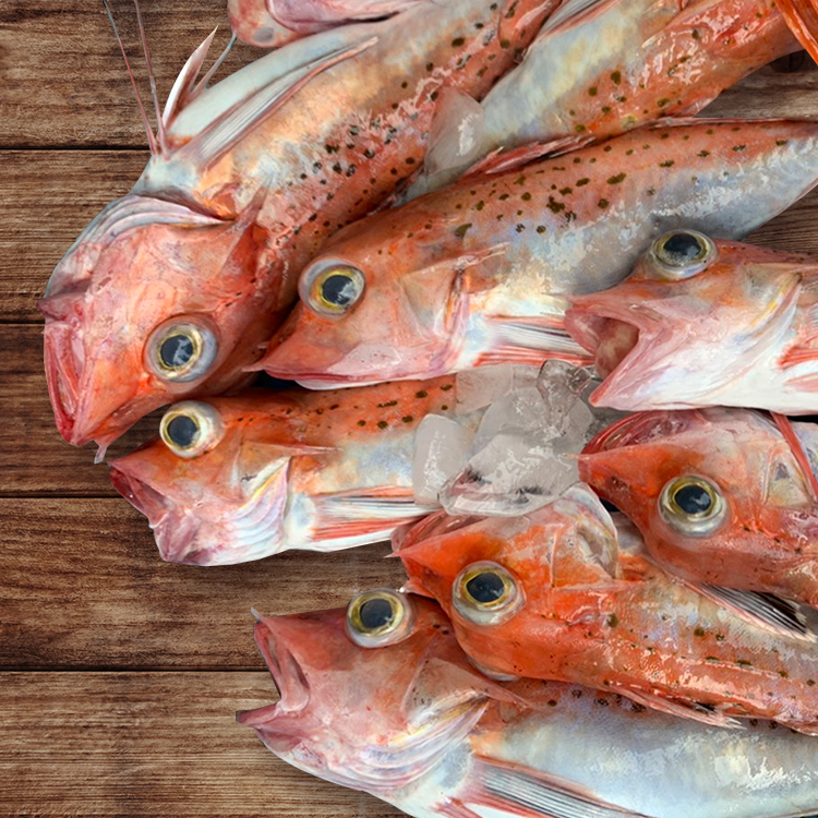 宜蘭大溪漁港 角魚 桌上的美味料理 稀有且平價的高cp魚種