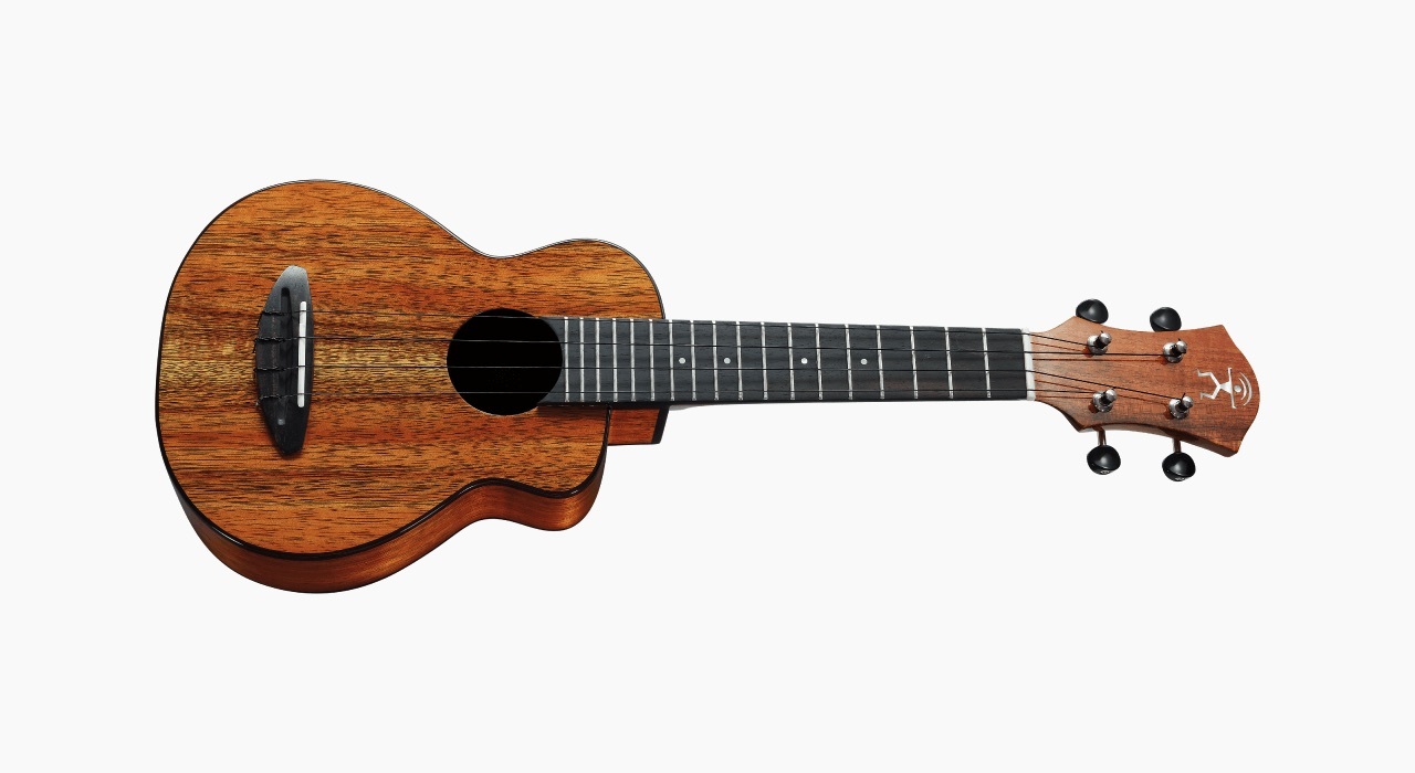 aNueNue aNueNue 彩虹人 烏克麗麗 US1K 21吋 夏威夷相思木 全單板 Bird 鳥烏克系列 第 2 張圖片｜三峽烏克麗麗