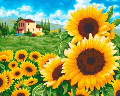 【DT172】盛夏季節