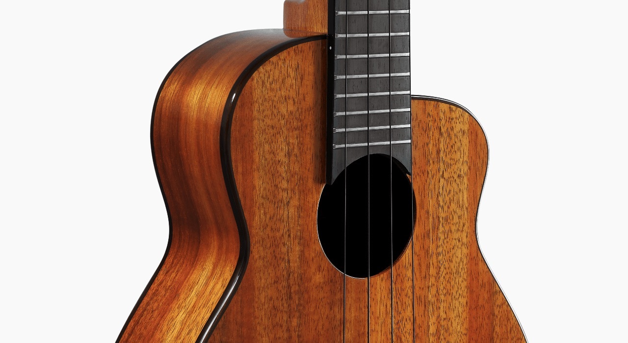 aNueNue aNueNue 彩虹人 烏克麗麗 UC1K 23吋 夏威夷相思木 全單板 Bird 鳥烏克系列 第 5 張圖片｜三峽烏克麗麗