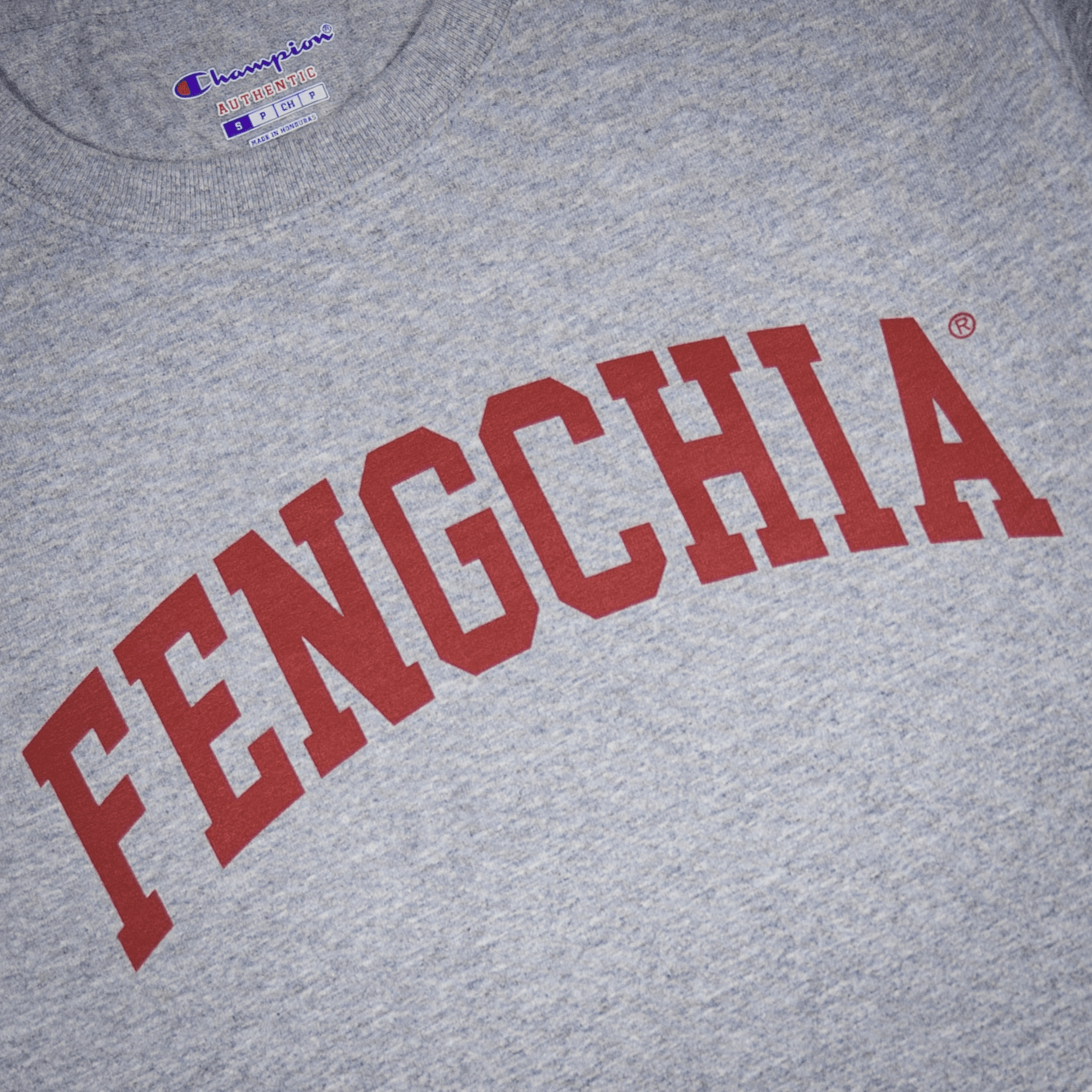 Champion® 逢甲大學 T-Shirt (灰色)