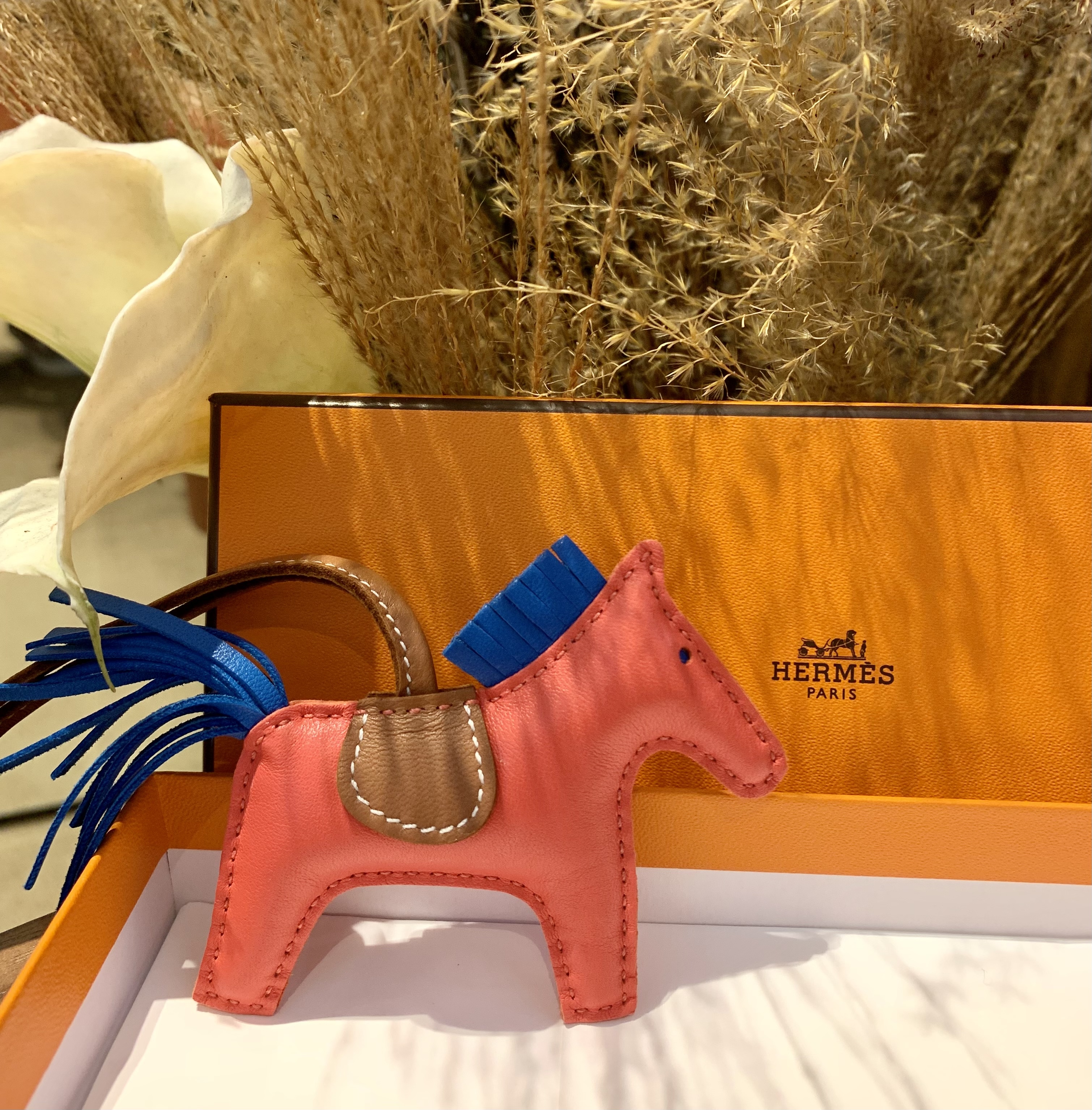 Rodeo pm 0E rose texas / B3 bleu zanzibar