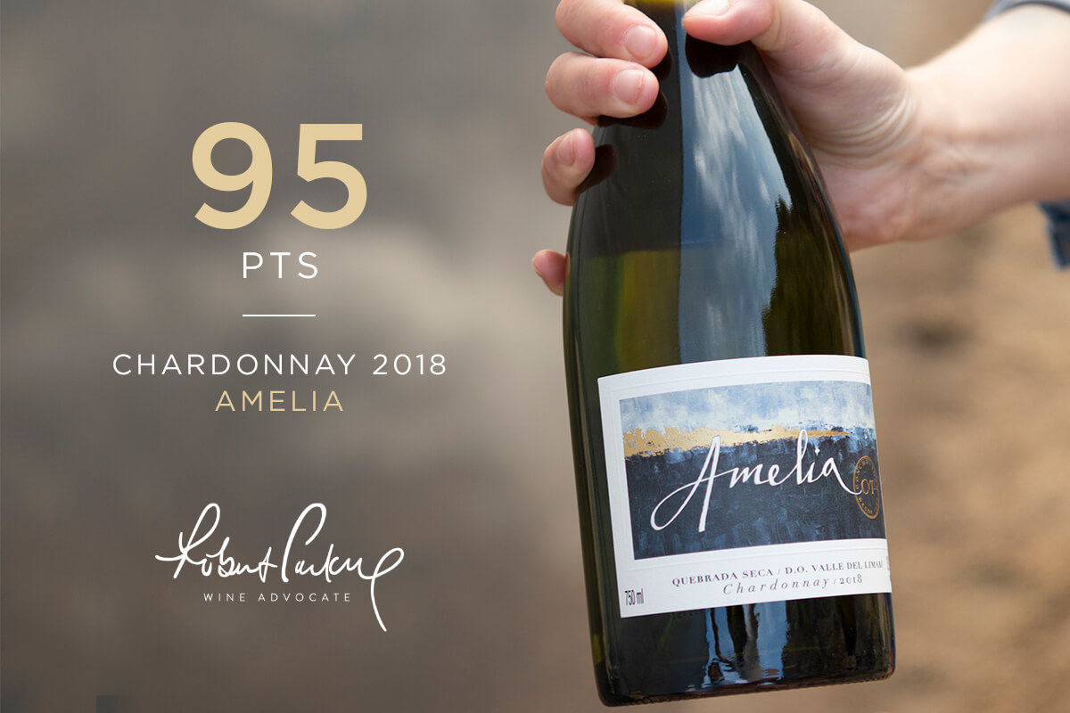 Concha y Toro Amelia Chardonnay 2022 - 6 Bottle Pack