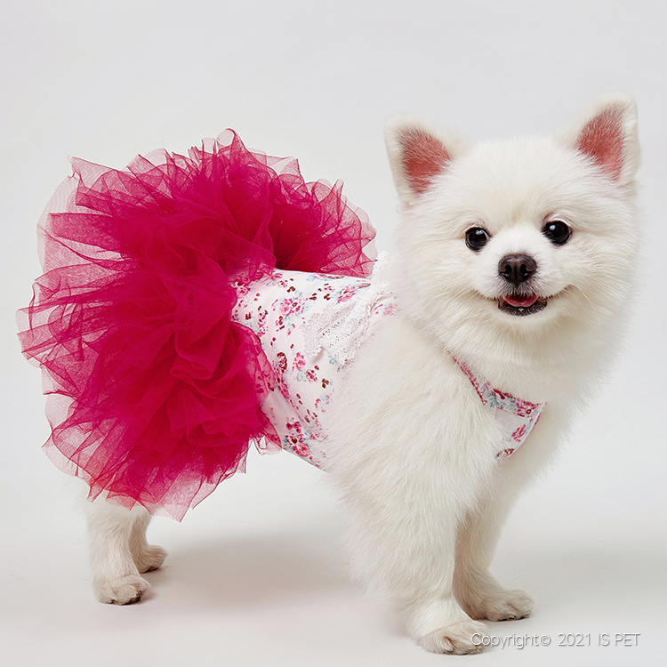 【新上架！】IsPet 寵物貓狗兔衣服 - 花園風格連衣細毛針織吊帶裙 - 粉紅色 [4尺寸]