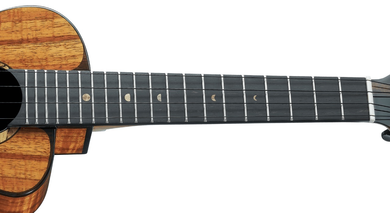 aNueNue aNueNue 彩虹人 烏克麗麗 UC3K 23吋 夏威夷相思木 全單板 Bird 鳥烏克系列 第 6 張圖片｜三峽烏克麗麗